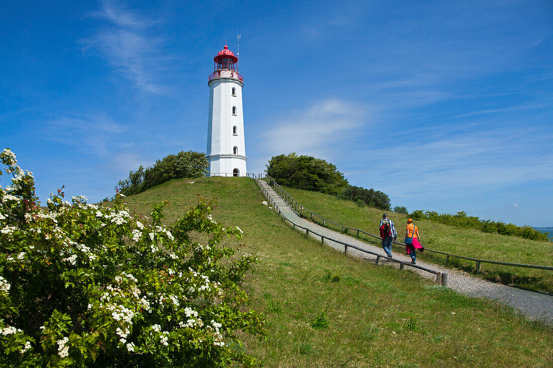 Leuchtturm Dornbusch, Insel Hiddensee, Mecklenburg-Vorpommern, Deutschland