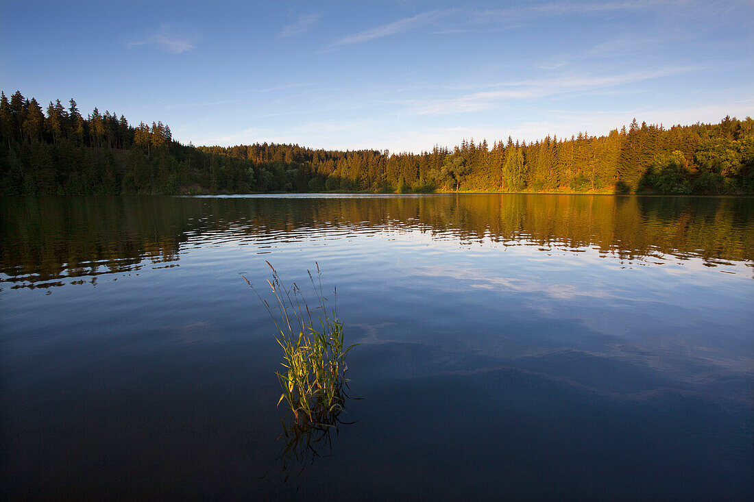 Rappbode Reservoir, Hasselfelde, Harz mountains, Saxony-Anhalt, Germany