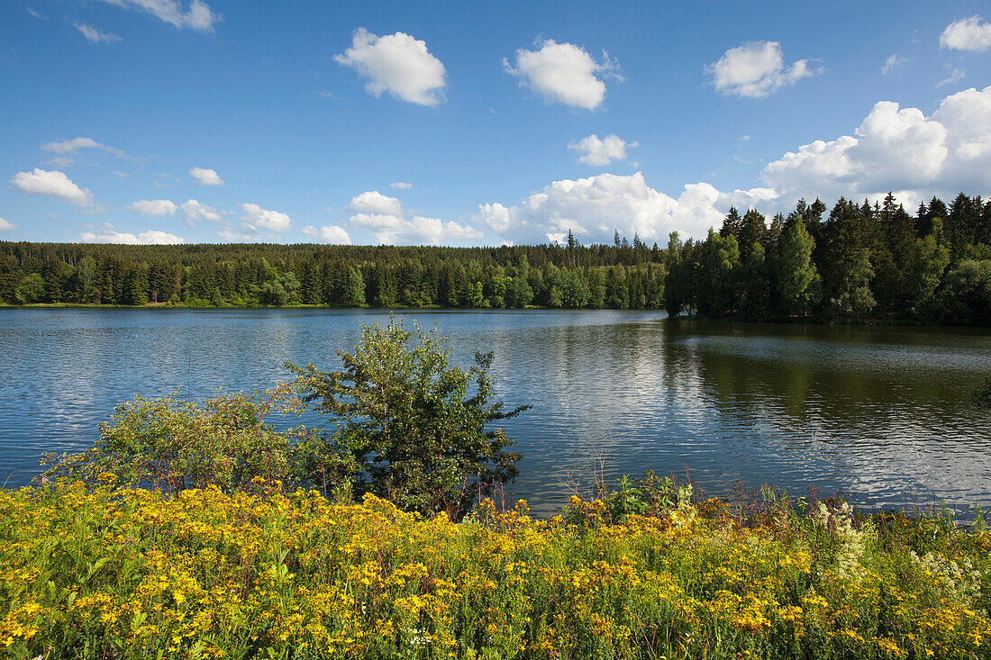 Rappbodestausee, Hasselfelde, Harz, Sachsen-Anhalt, Deutschland