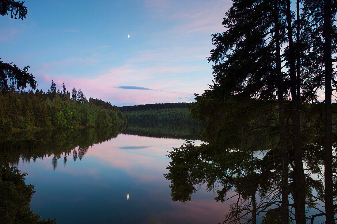 Rappbode Reservoir, Hasselfelde, Harz mountains, Saxony-Anhalt, Germany