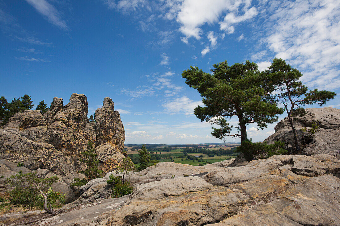 Rock formation Hamburger Wappen, Teufelsmauer, Timmenrode, Harz foreland, Saxony-Anhalt, Germany