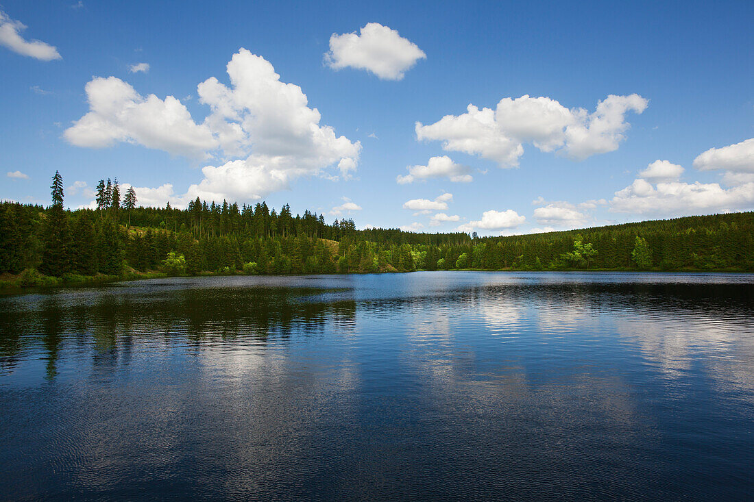 Rappbode-Stausee bei Hasselfelde, Harz, Sachsen-Anhalt, Deutschland