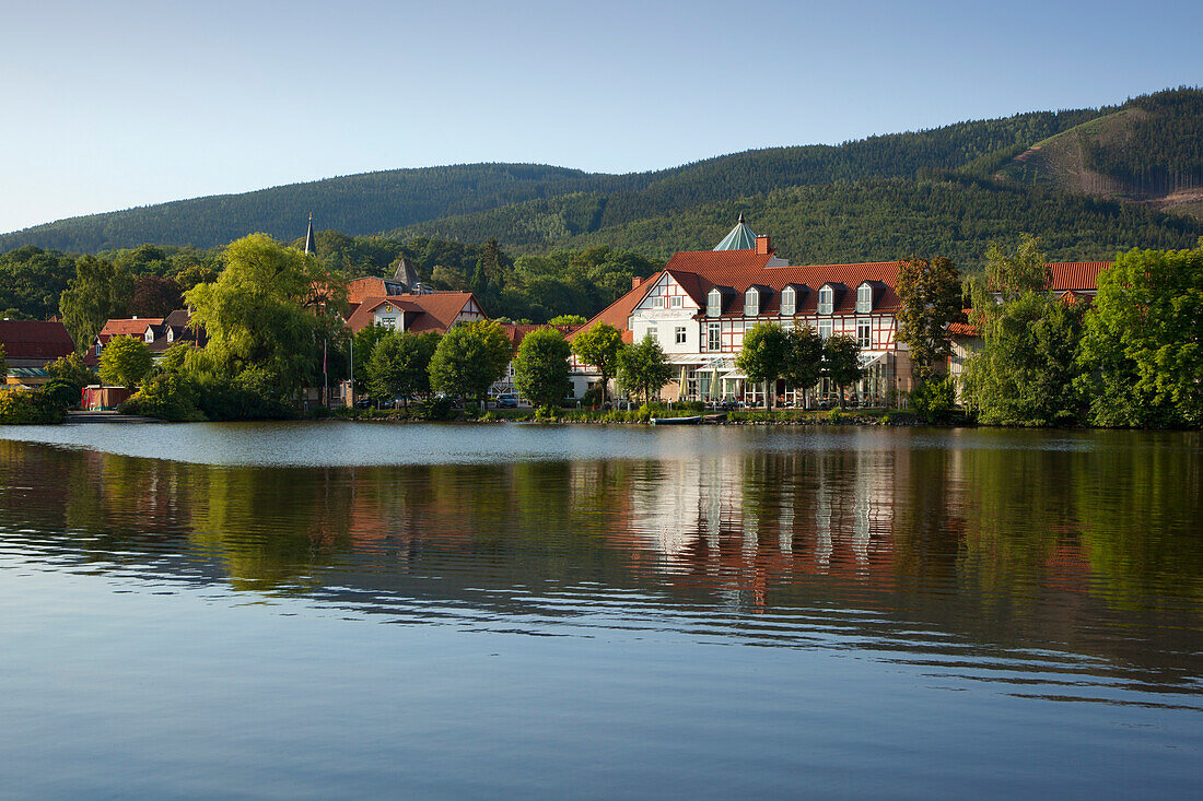 Trout lake near Hotel „Zu den Rothen Forellen“, Ilsenburg, Harz mountains, Saxony-Anhalt, Germany