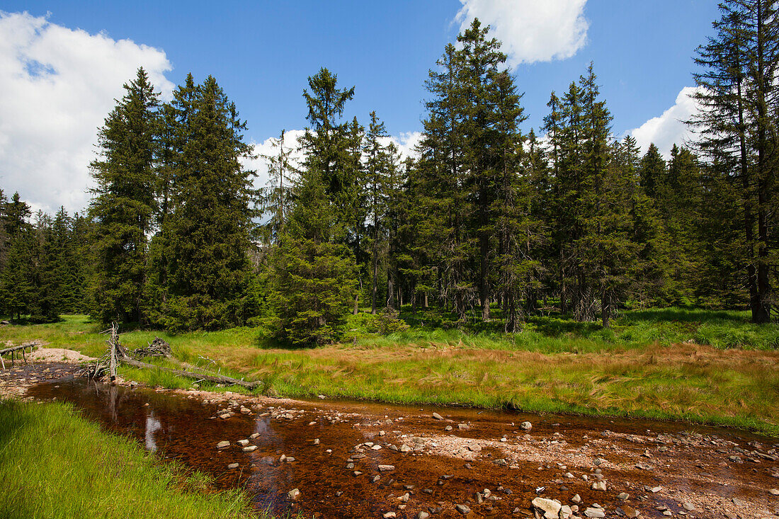 Landscape at the hiking trail around Oderteich, Harz mountains, Lower Saxony, Germany