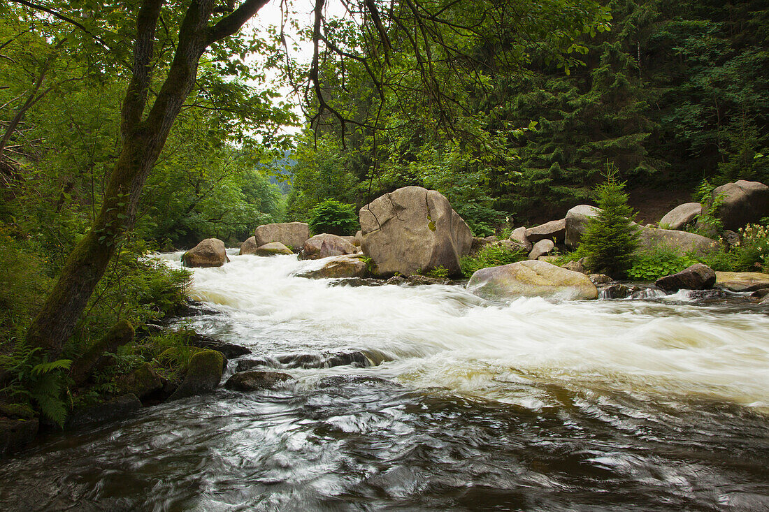 Oker valley near Goslar, Harz mountains, Lower Saxony, Germany