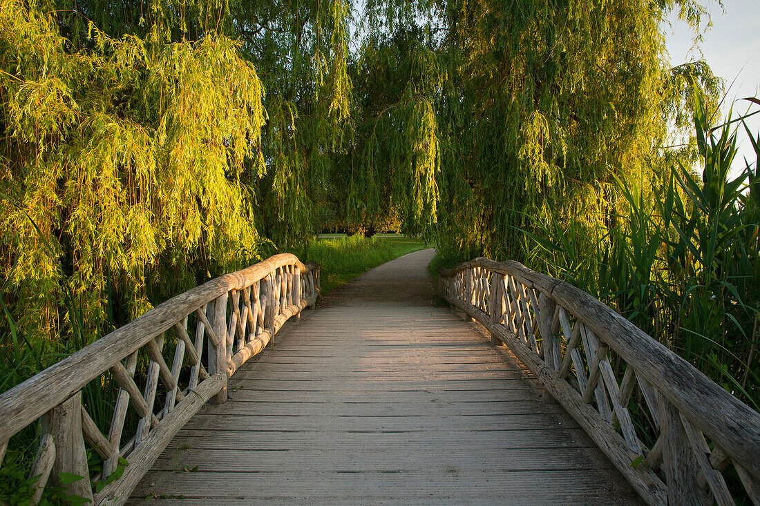 Bridge in the palace garden, Schwerin Castle, Schwerin, Mecklenburg-Western Pomerania, Germany