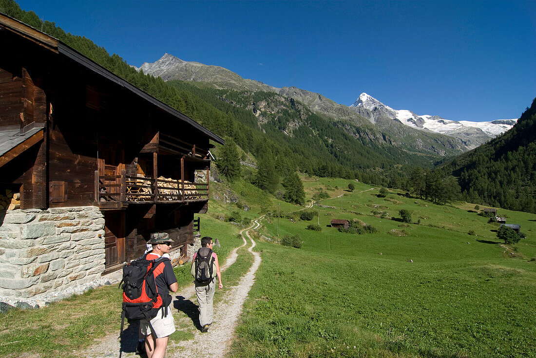 Switzerland, Valais, Haudères moutain pastures, trekkers, Dent Blanche mountain in background