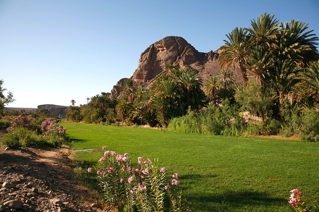 Africa, Maghreb, North africa, Morocco, province of Ouarzazate, Fint oasis