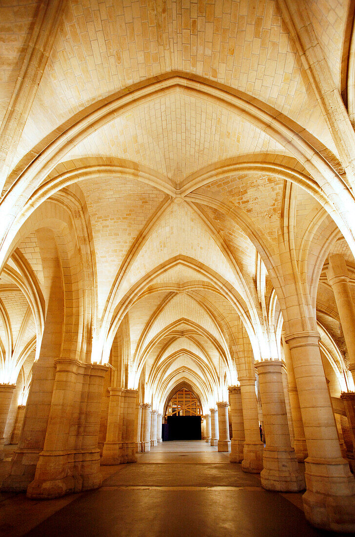 France, Paris, 1st arrondissement, Conciergerie, Salle des Gens d'Armes, indoors