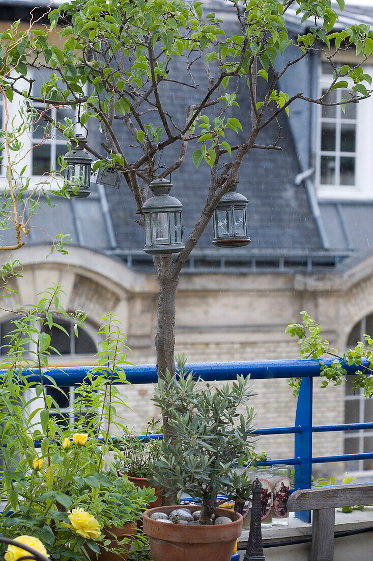 France, Paris, 11th arrondissement, terrace with flowers