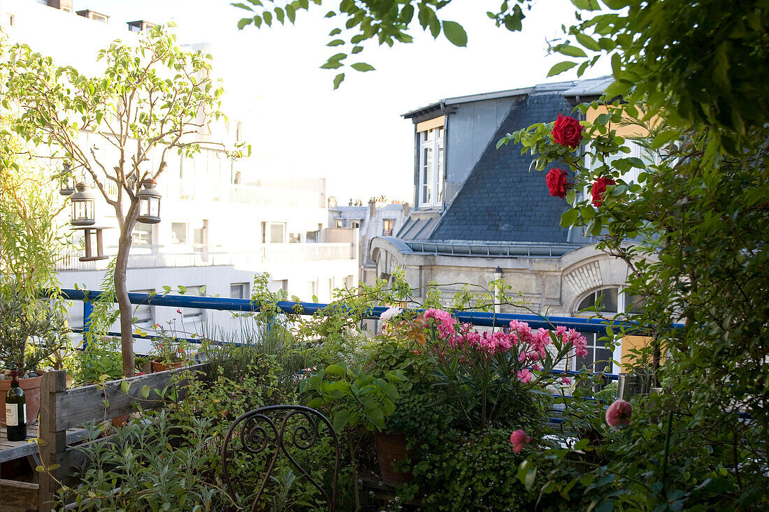 France, Paris, 11th arrondissement, flowers on a terrace