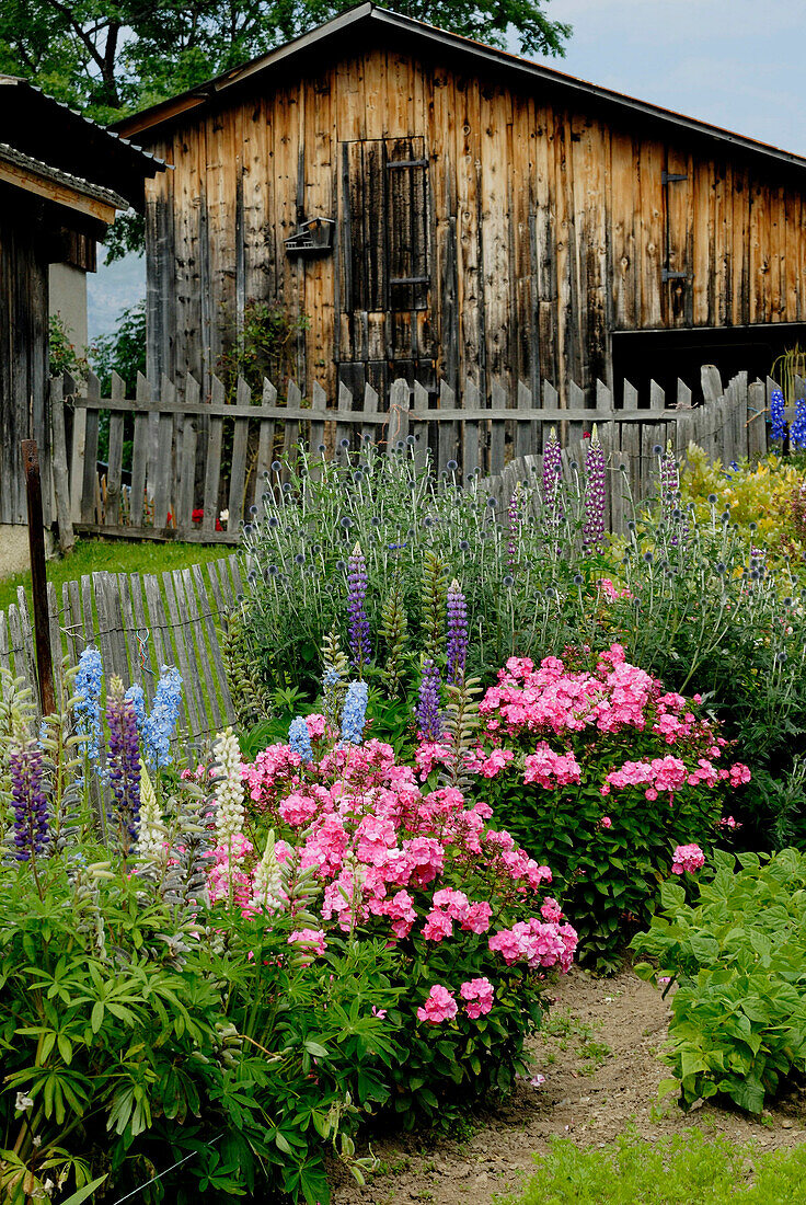 France, Alps, Savoie, Crest-Volland, garden