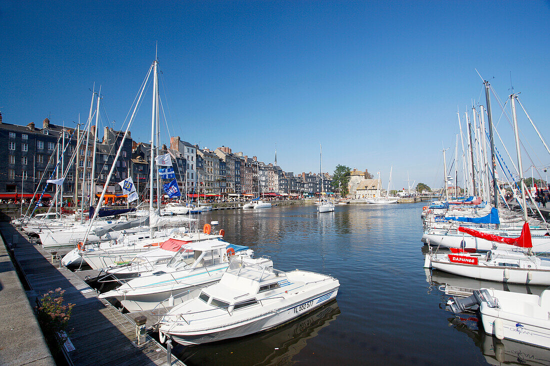 France, Normandy, Calvados, Honfleur harbour