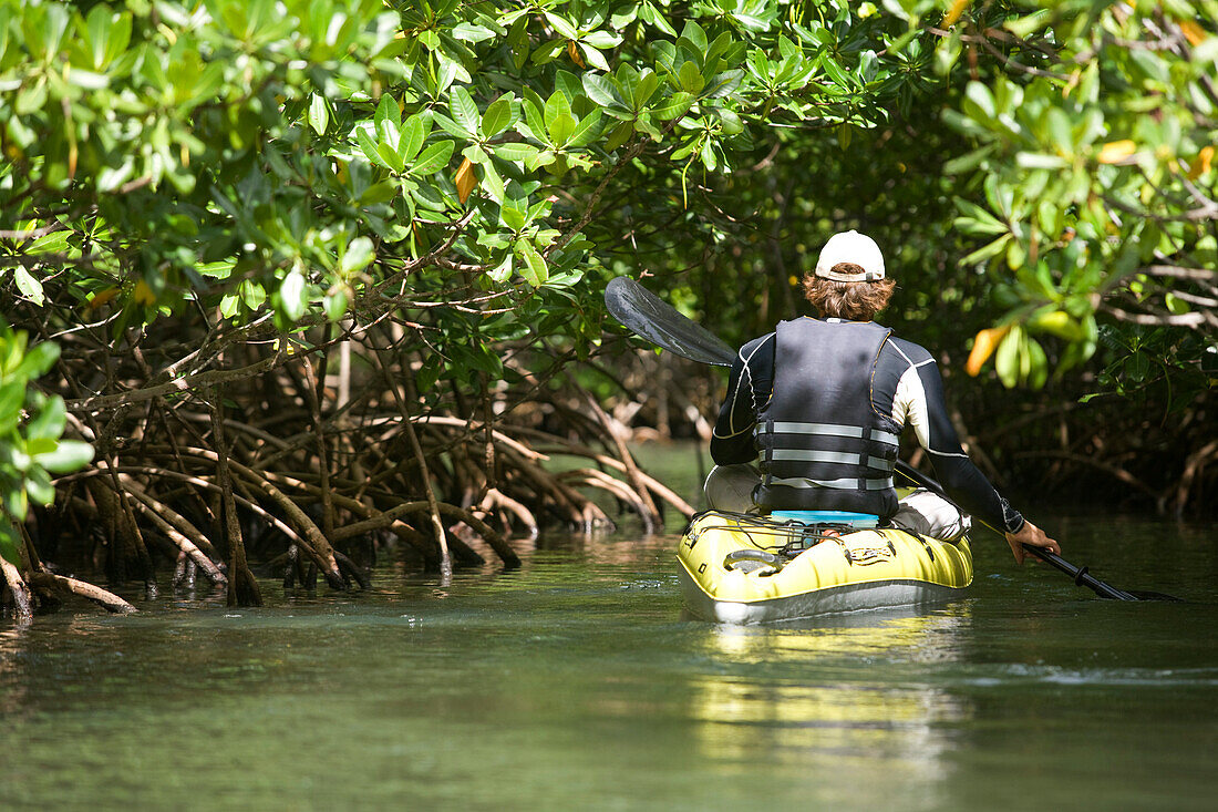 West Indies, Guadeloupe, man in a boat near mangrove swamp