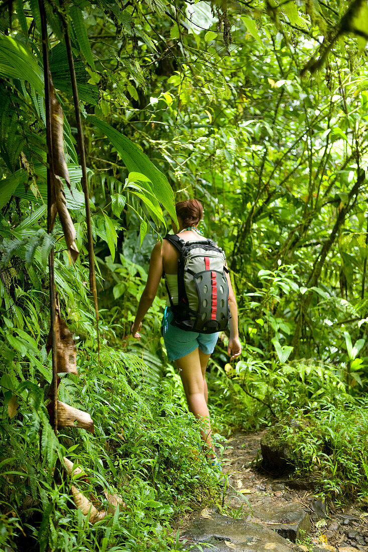 West Indies, Guadeloupe, young woman in forest near Soufriere volcano