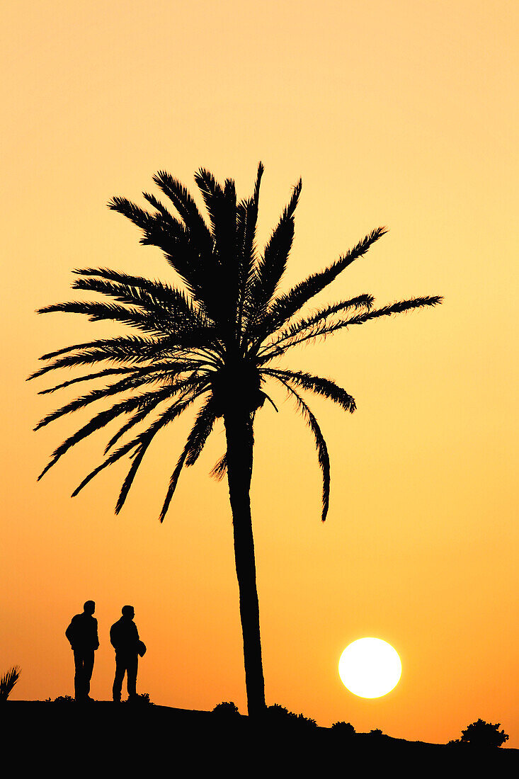 Tunisia, Djerba, silhouettes of 2 people and palm tree at sunset