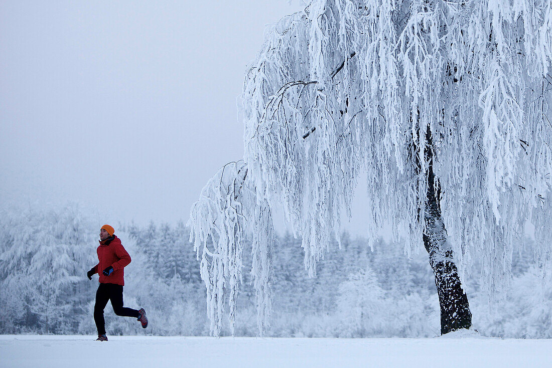 Mann joggt durch Winterlandschaft, Irsee, Bayern, Deutschland