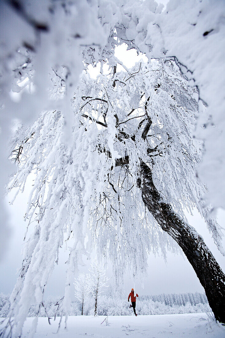 Mann joggt durch Winterlandschaft, Irsee, Bayern, Deutschland