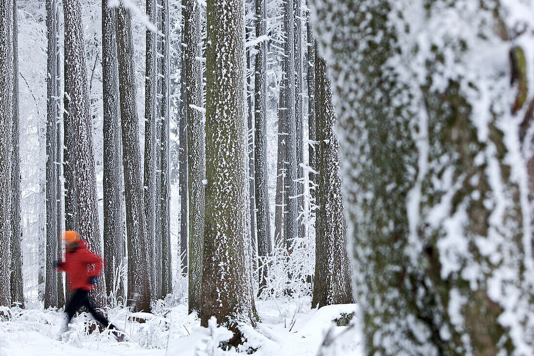 Mann joggt durch Winterlandschaft, Irsee, Bayern, Deutschland