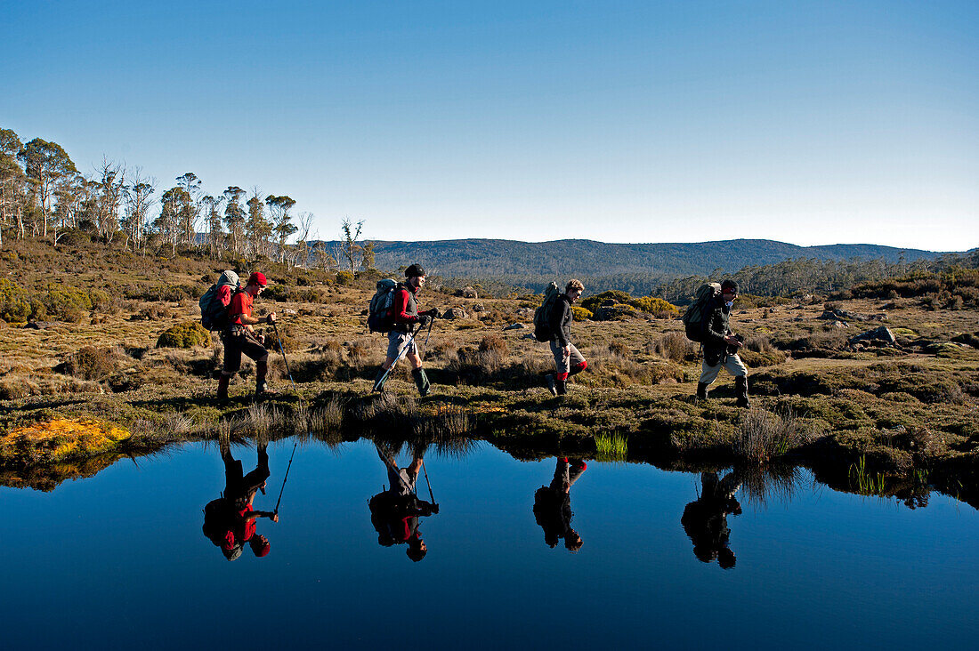 Four trekker walking along Wild Dog Creek, Walls of Jerusalem National Park, UNESCO World Nature Site, Tasmania, Australia
