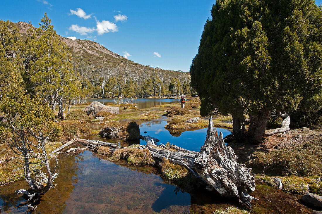 Pool of Bethesda, Walls of Jerusalem National Park, UNESCO Weltnaturerbe, Tasmanien, Australien