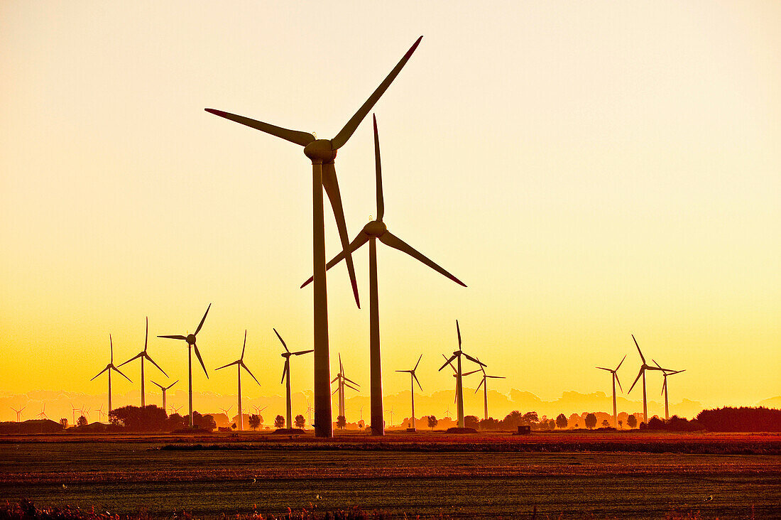 Windräder im Windpark bei Sonnenuntergang, Schleswig Holstein, Deutschland, Europa