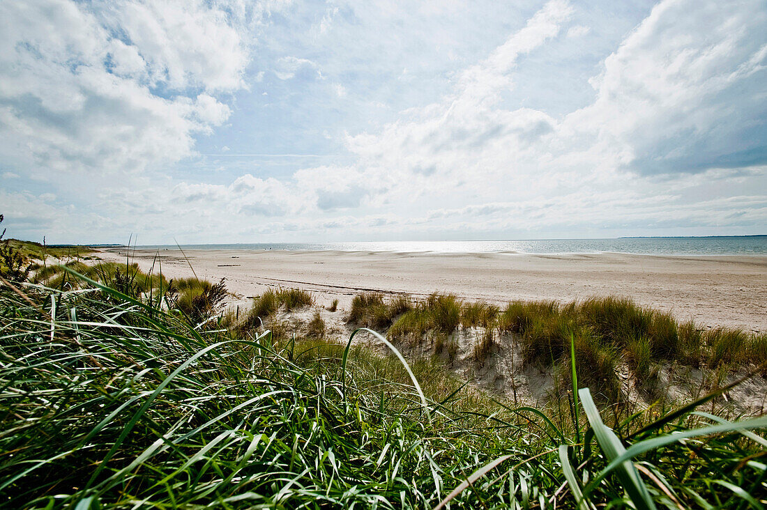 Beach near Utersum under clouded sky, Island of Foehr, Schleswig Holstein, Germany, Europe