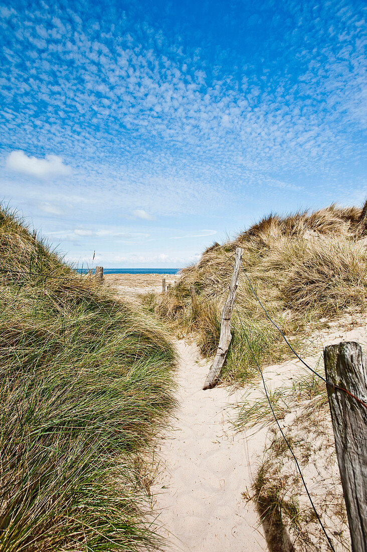 Dunes at the Ellenbogen, Island of Sylt, Schleswig Holstein, Germany, Europe