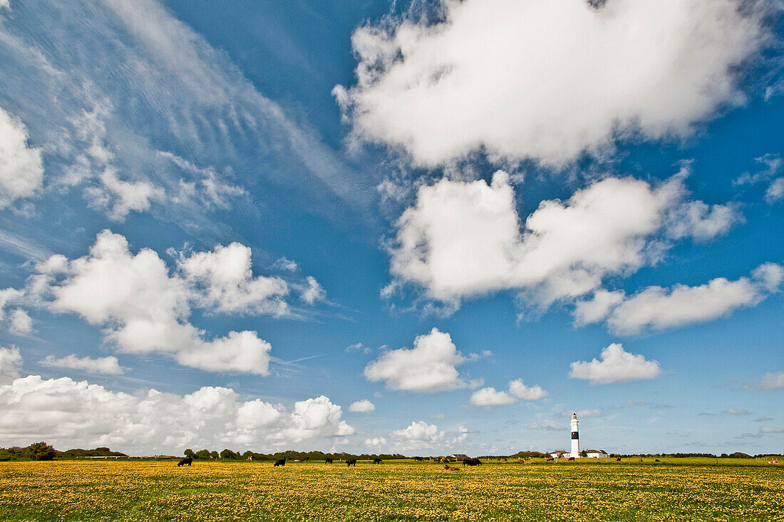 Leuchtturm unter Wolkenhimmel, Insel Sylt, Schleswig Holstein, Deutschland, Europa