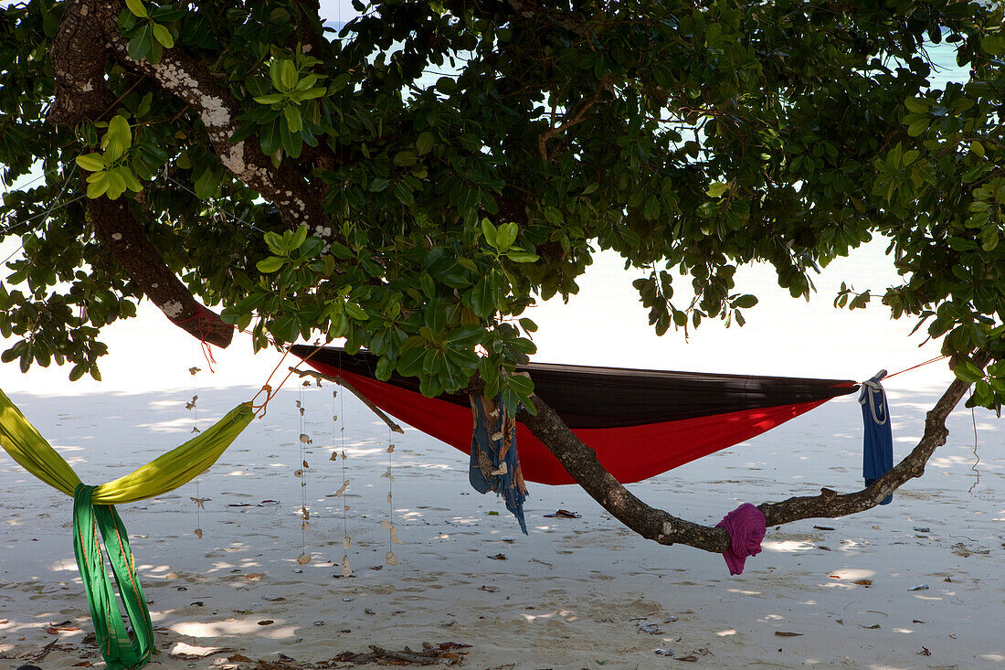Hängematten und Windspiele aus Korallen in den Bäumen am Hat Mai Ngam Strand, Koh Surin Meeresnationalpark, Andamanensee, Thailand