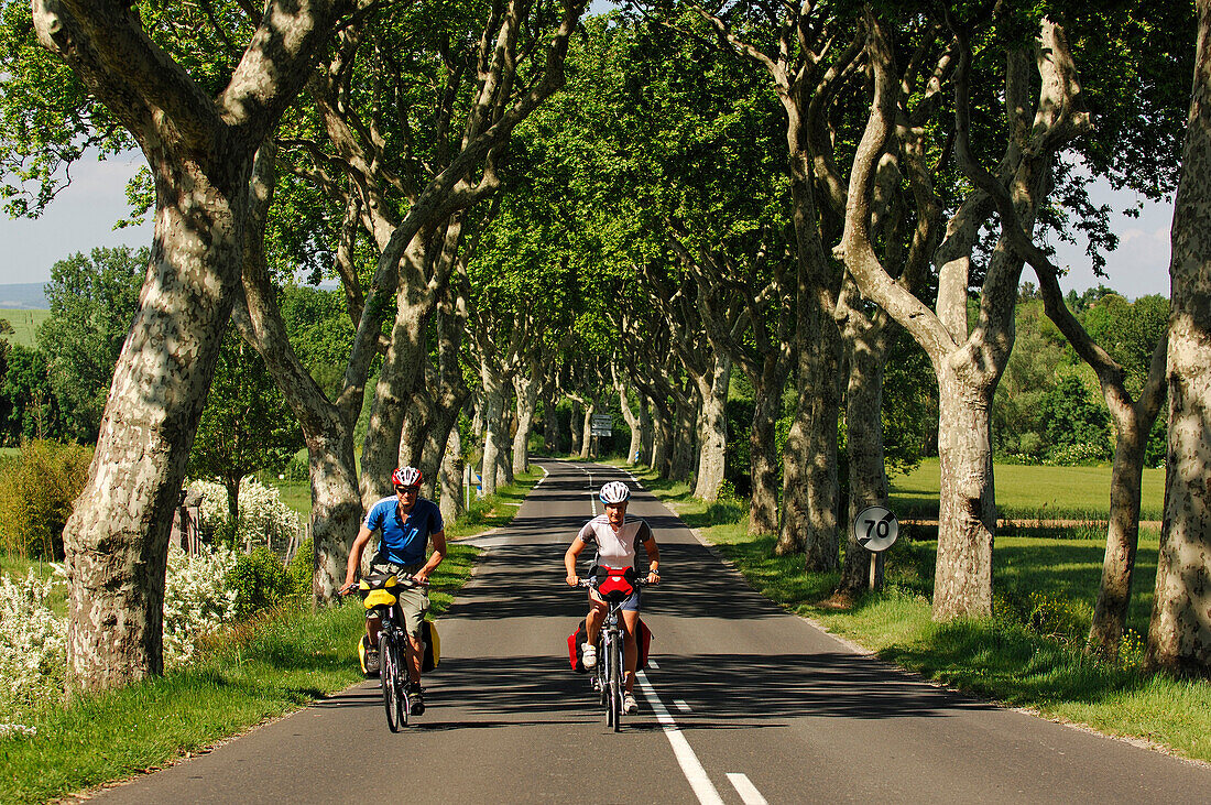 Two cyclists cycling along a road near the Canal du Midi, Midi, France