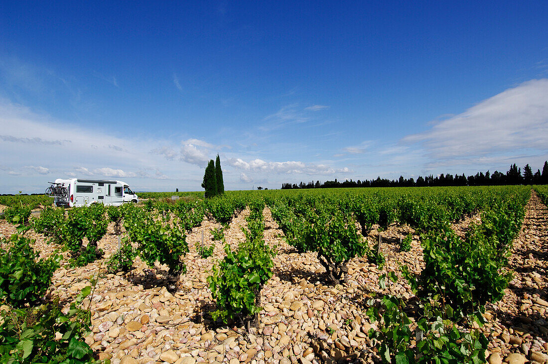 Camper van in the vineyards near Chauteauneuf du Pape, Provence, France