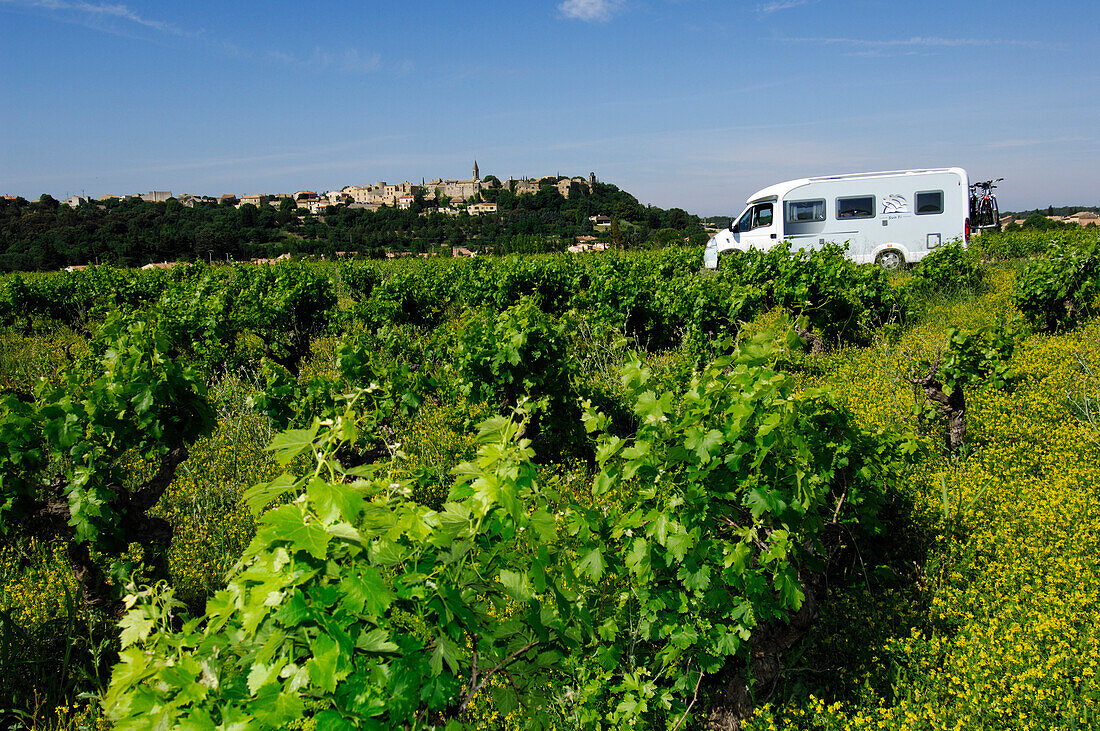 Wohnmobil vor Weinbergen, Provence, Frankreich