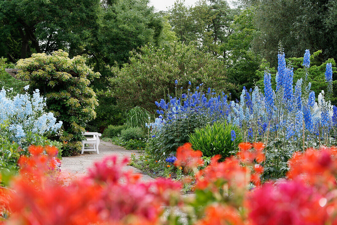 Garden landscape with blossoming plants on Freundschaftsinsel, Potsdam, Land Brandenburg, Germany