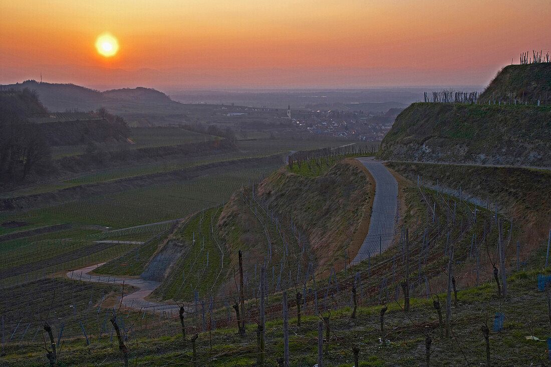 Blick über Weinberge auf Oberrotweil, Spätherbst, Kaiserstuhl, Baden-Württemberg, Deutschland, Europa