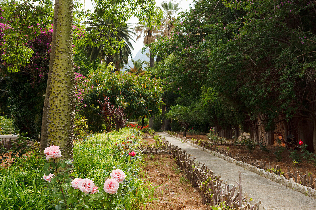 Gardens, Jardins d Alfabia, moorish country estate, 14 15 century, Bunyola, Mallorca, Balearic Islands, Spain, Europe