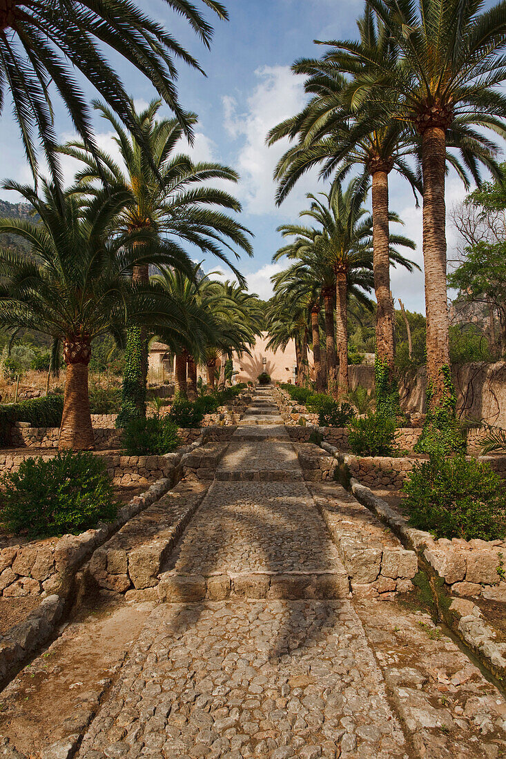 Jardins d Alfabia, maurisches Landgut, 14 15 Jahrhundert, Bunyola, Mallorca, Balearen, Spanien, Europa