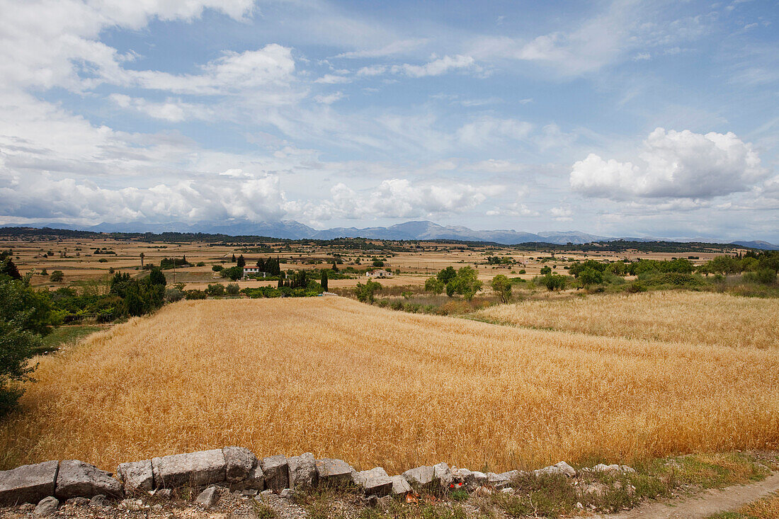 Plain Es Pla und Serra de Tramuntana, Tramuntana mountains, near Santa Margalida, Mallorca, Balearic Islands, Spain, Europe