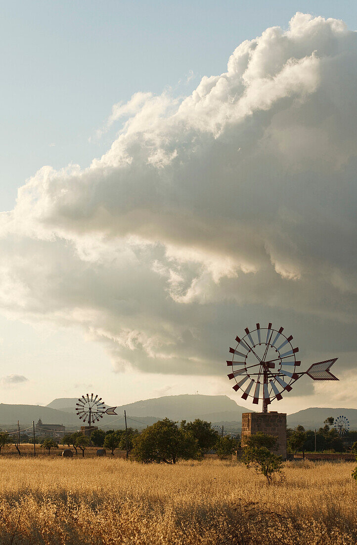 Windrad, Landhaus, bei Campos, Mallorca, Balearen, Spanien, Europa