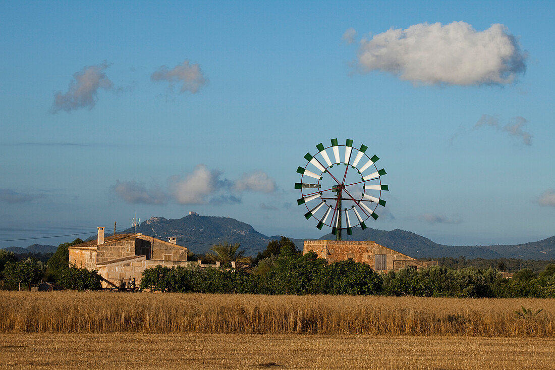 Windrad, Landhaus, bei Campos, Mallorca, Balearen, Spanien, Europa