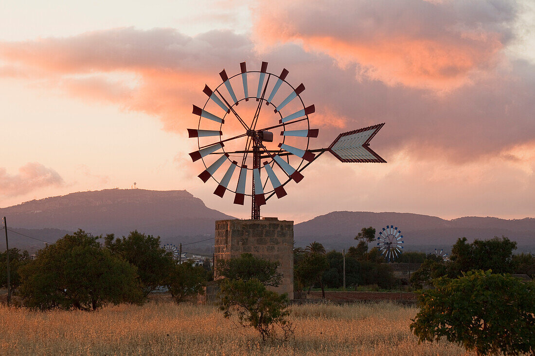Wind wheels, cottage, near Campos, Mallorca, Balearic Islands, Spain, Europe