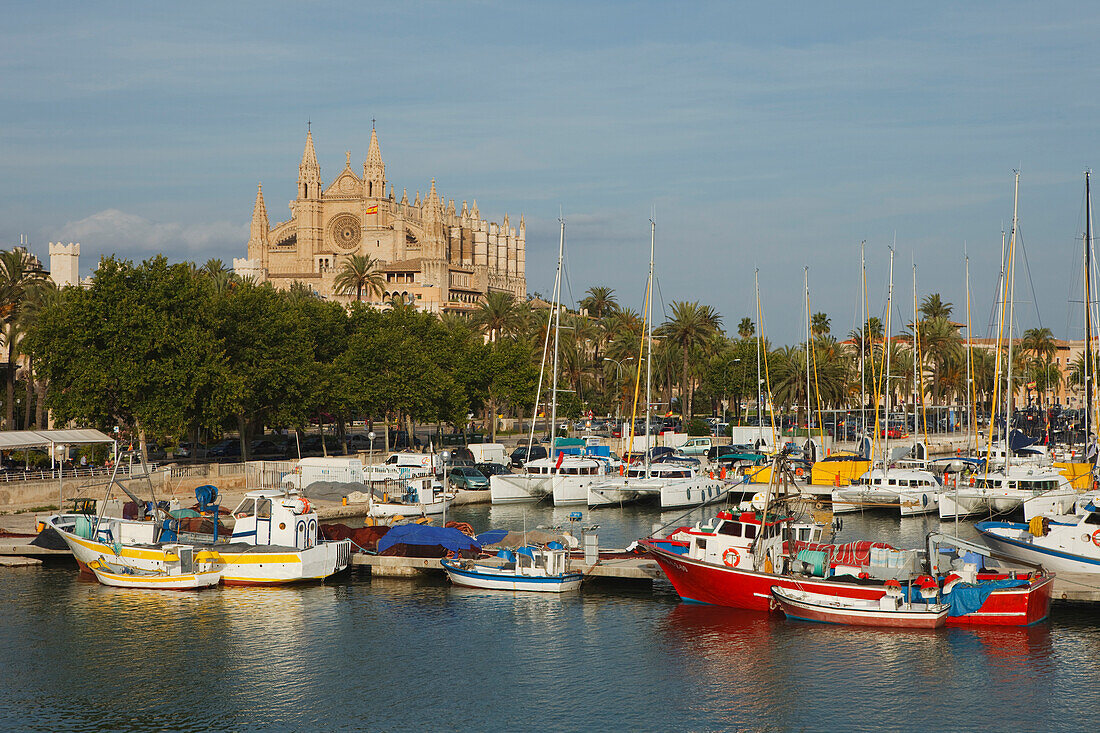 Fishing boats at harbour in front of Cathedral La Seu, Palma de Mallorca, Mallorca, Balearic Islands, Spain, Europe