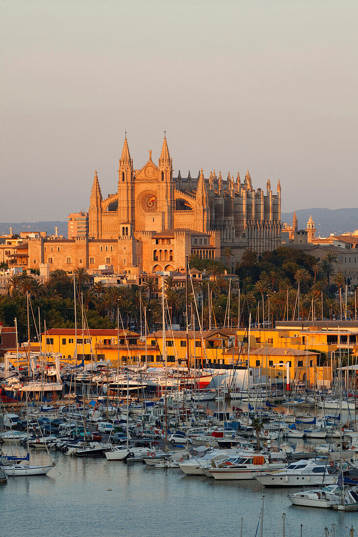 View of harbour, cathedral La Seu and palace Palau de l'Almudaina in the light of the evening sun, Palma de Mallorca, Mallorca, Balearic Islands, Spain, Europe