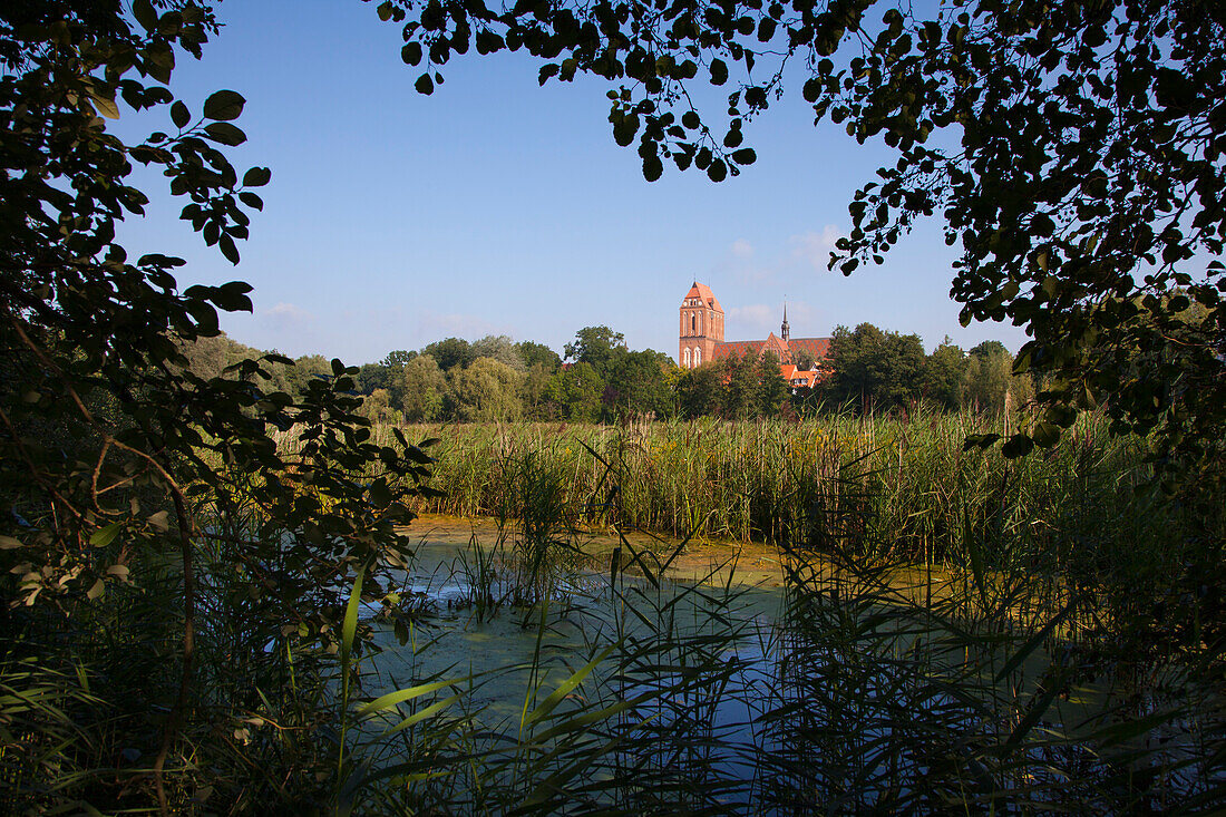 View over a pond onto the cathedral, Guestrow, Mecklenburg switzerland, Mecklenburg Western-Pomerania, Germany, Europe