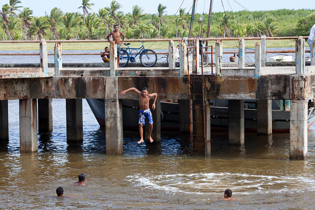 Young brazilian guys at the harbour of Canavieiras, Cacao Coast, State of Bahia, South America, America