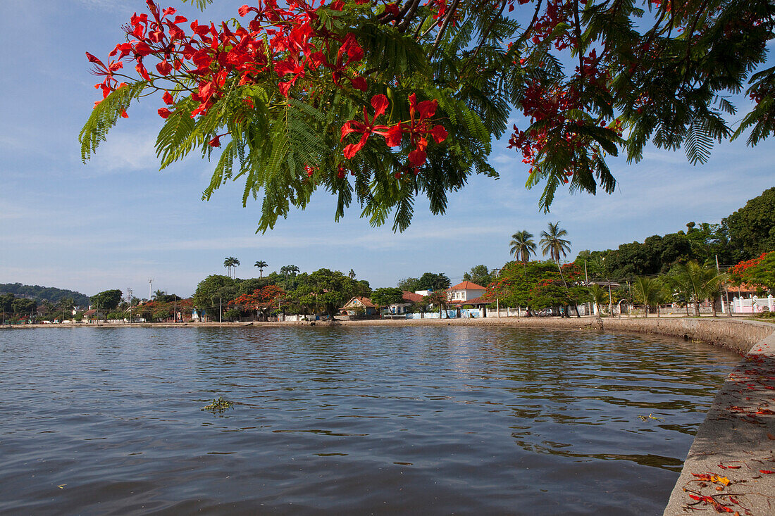 Paquetá Island in the Guanabara Bay in Rio de Janeiro, Brazil, South America, America