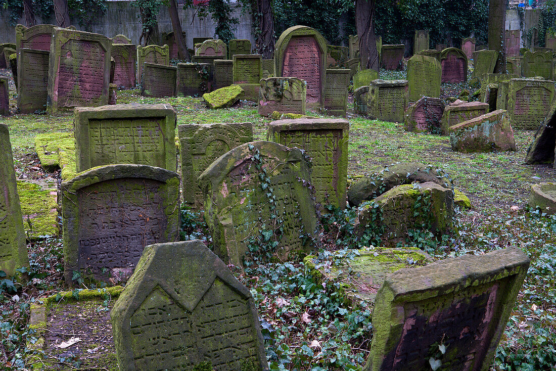 Jewish cemetery Battonnstraße, it is the oldest jewish cemetery in Frankfurt, Frankfurt am Main, Hesse, Germany, Europe