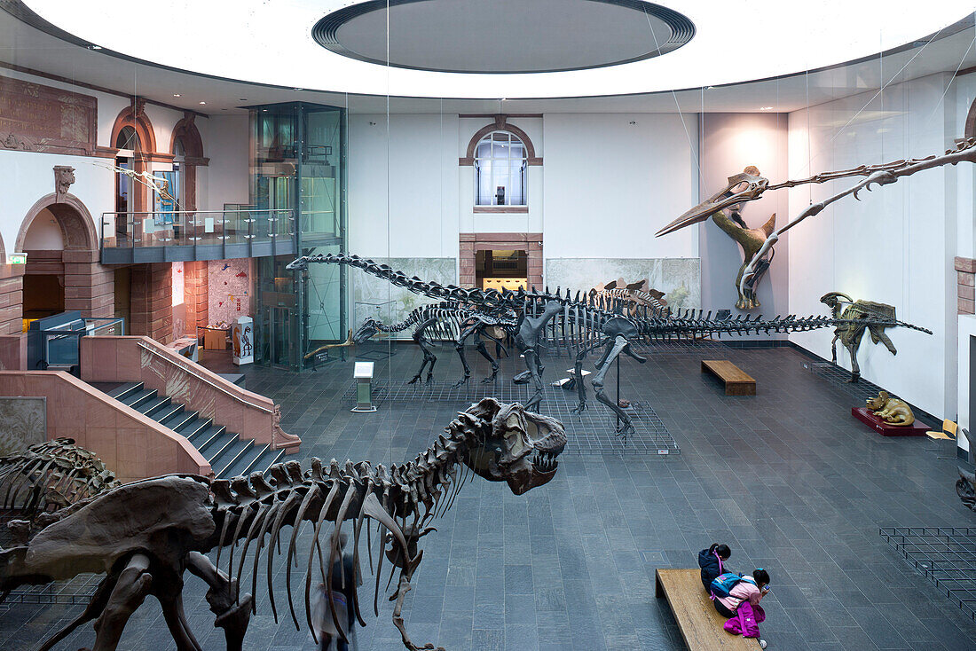 Senckenberg-Museum, Blick in den Sauriersaal. Hier präsentiert Senckenberg Europas größte Sammlung von Großgruppensauriern. Vorn links der Tyrannosaurus rex und rechts oben der Kopf von Quetzalcoatlus northropi, dem größten Flugsaurier der Welt, Frankfurt