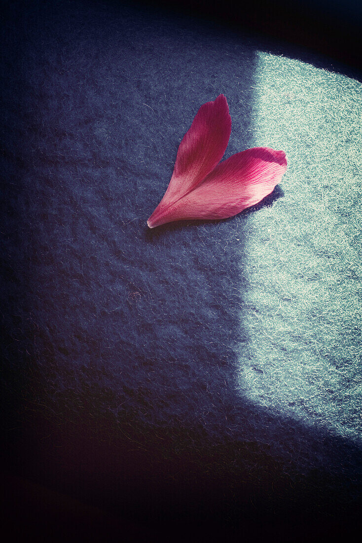 Heart-shaped petal