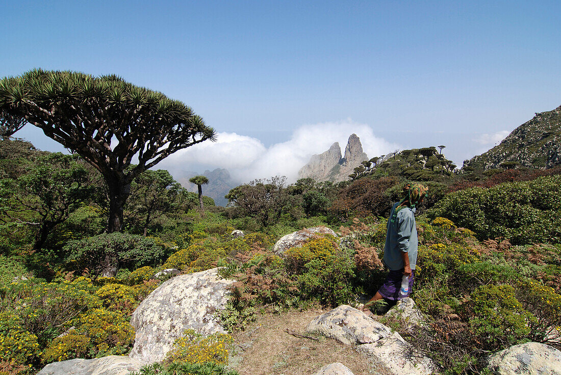 Yemen, Socotra island, Skund, man walking on a path in the mountain, vegetation